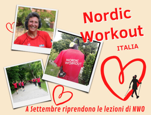 Nordic Workout